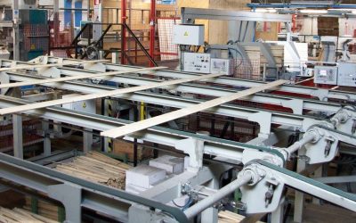 B TIMBER: diamo forma alle nostre idee