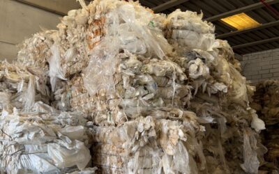 Recuperi CRP: l’alleato delle imprese nella transizione ecologica