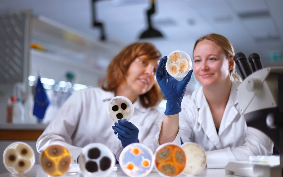 ARCHI-SKIN: il progetto che dà vita ai materiali edili