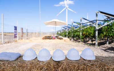 AIAS, l’associazione italiana che promuove l’agrivoltaico sostenibile