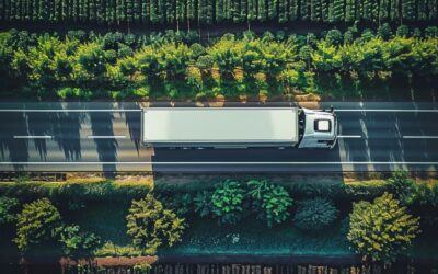 CBAM UE: nuove regole per le importazioni